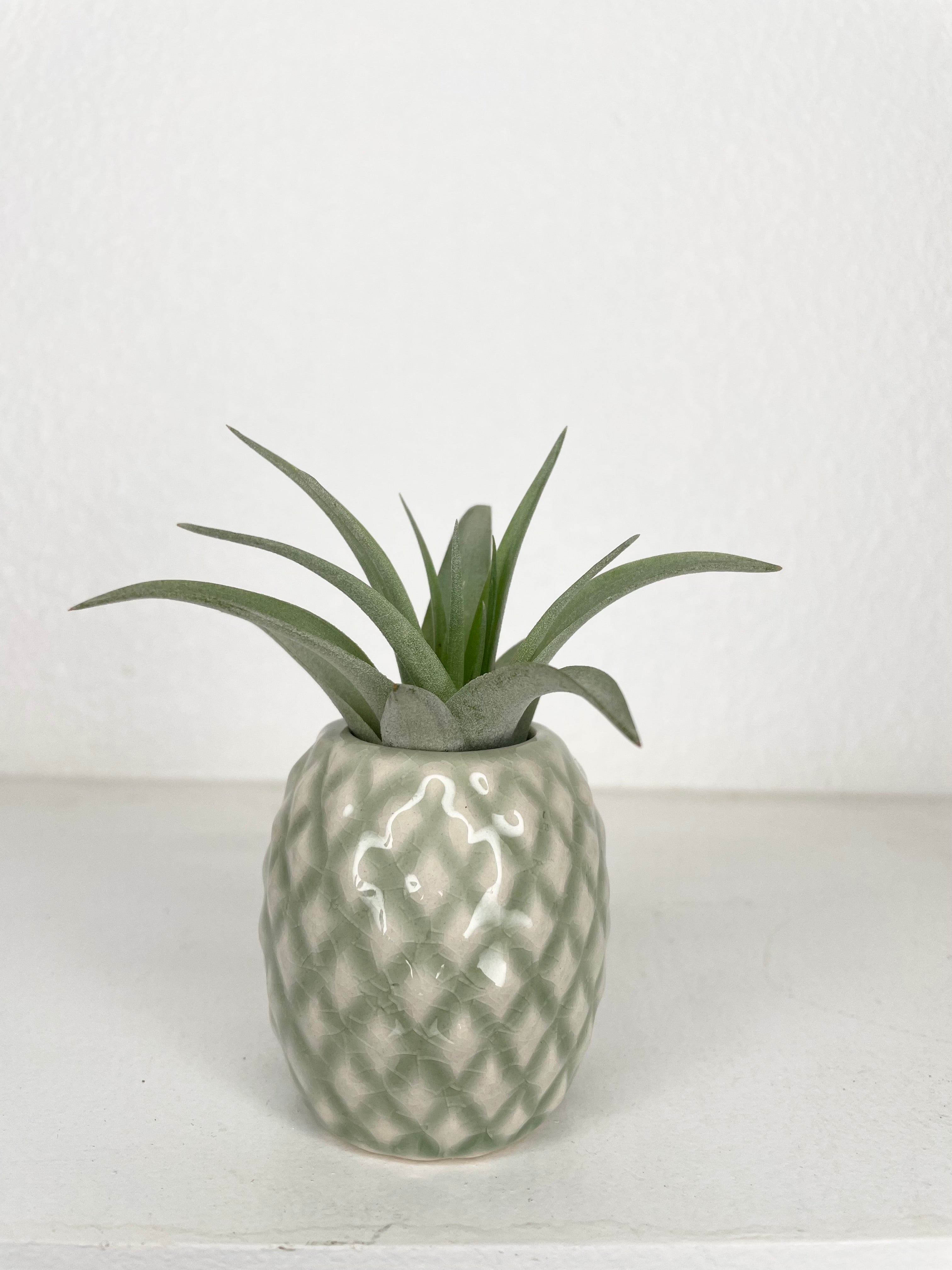 Garden Highway Pineapple Chunks - Smart & Final