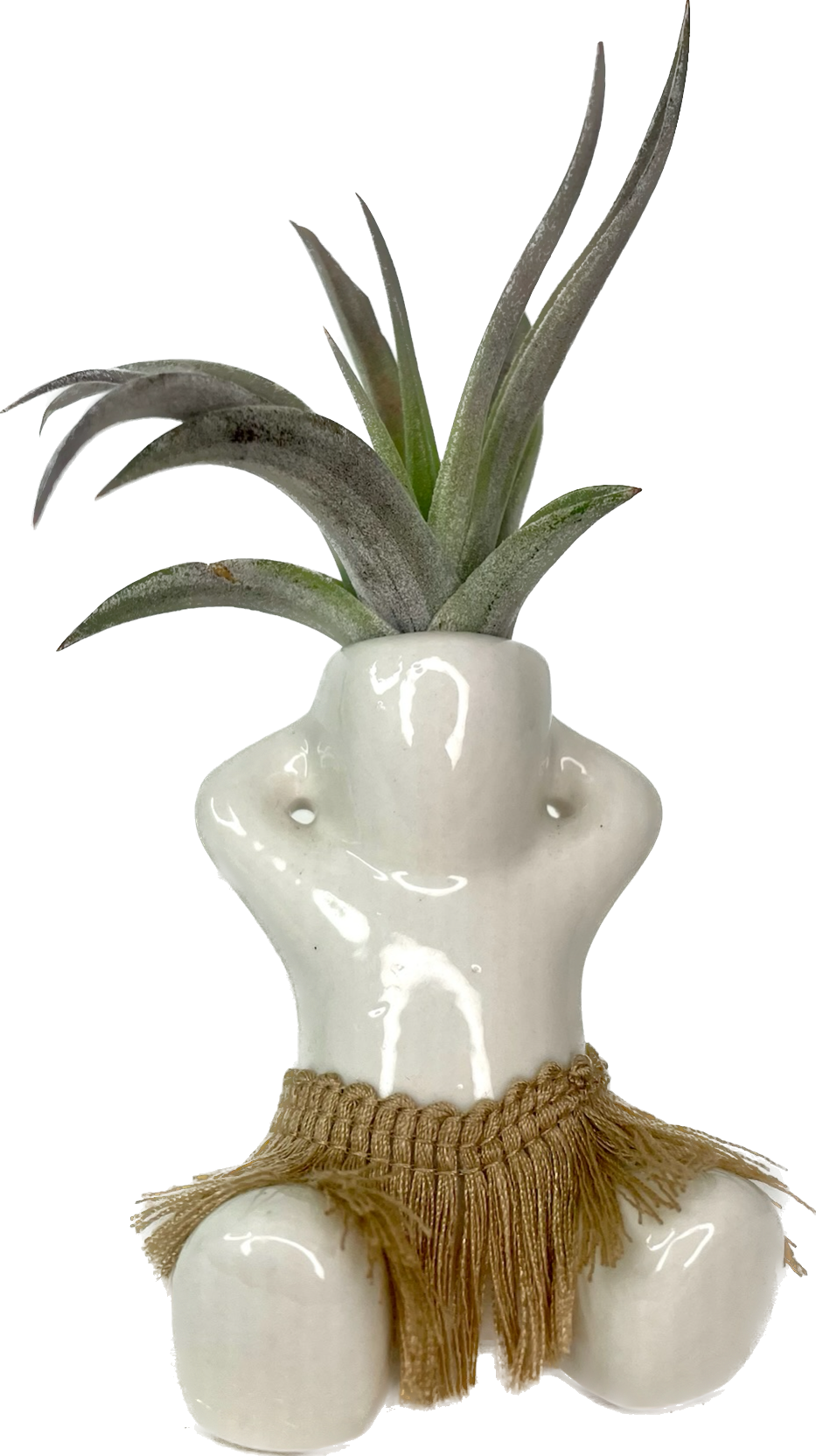 Shop All Waipua Gardens Kaua'i Tillandsia & Shell Shop