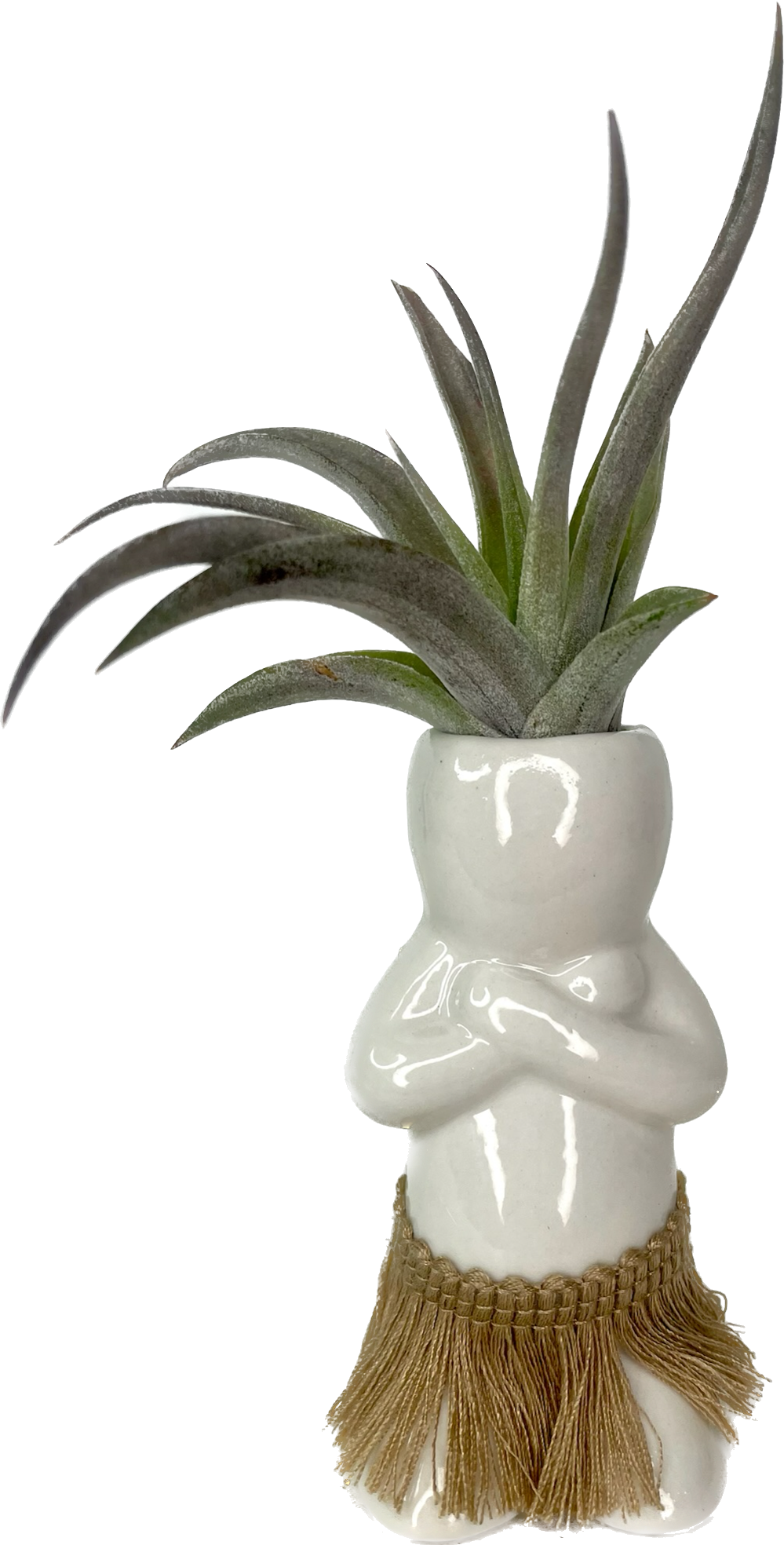 Hula Honey Aloha Nui Waipua Gardens Kaua'i Tillandsia & Shell Shop