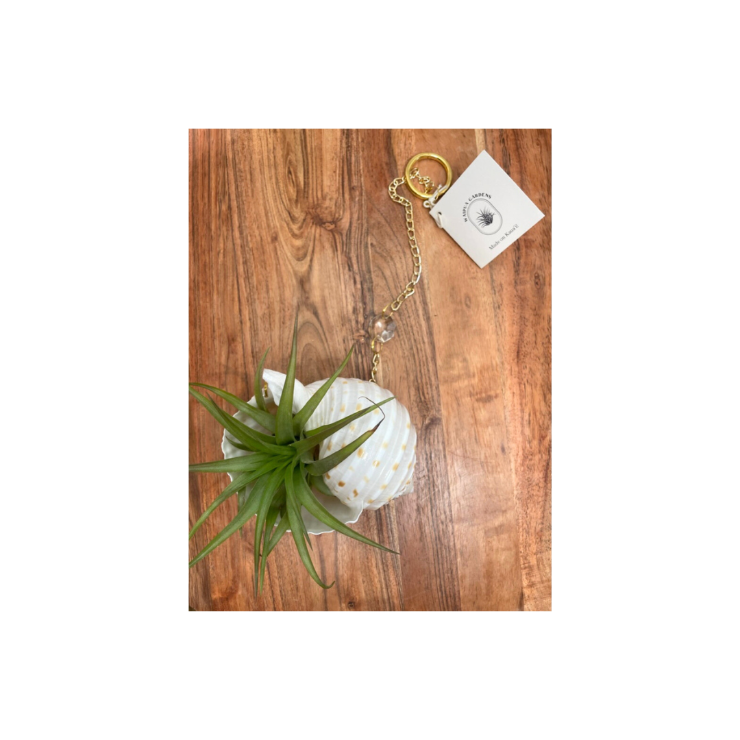 Gold Chain Suncatcher Waipua Gardens Kaua'i Tillandsia & Shell Shop